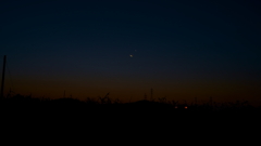 DSC05818
