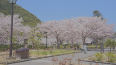 DSC06034
