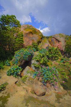 DSC06530