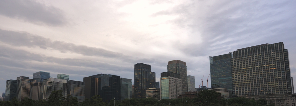 DSC06317