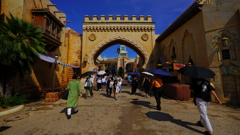 DSC06542