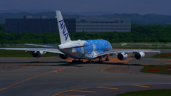 DSC04113