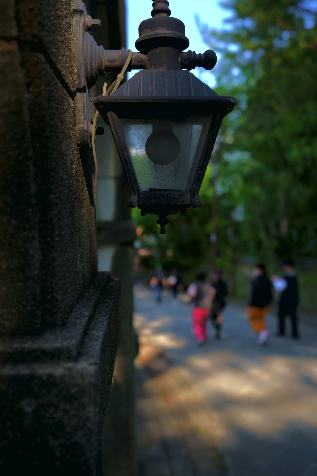 DSC06104