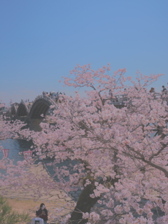 DSC06012