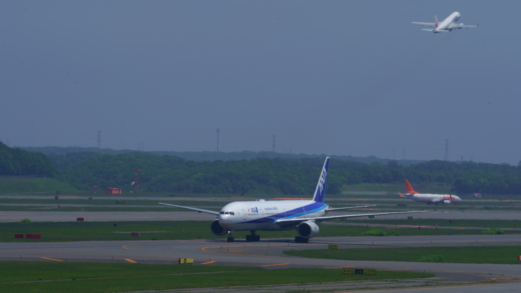 DSC04252