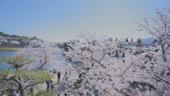 DSC06015