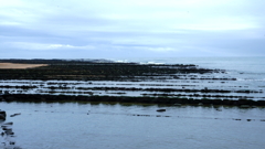 DSC06294