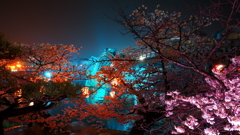 DSC06251