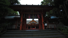 DSC06288