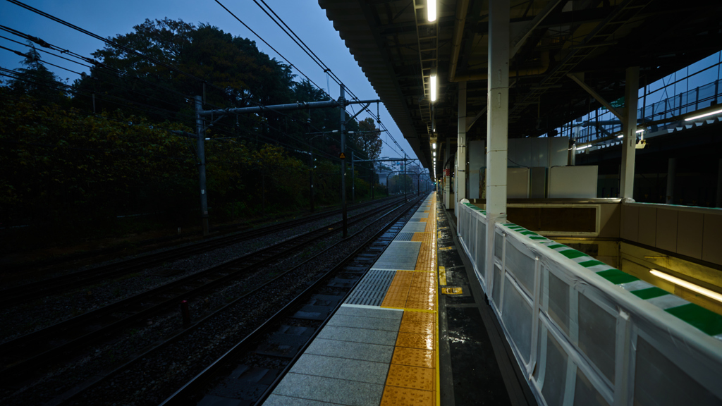 DSC05530