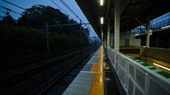 DSC05530