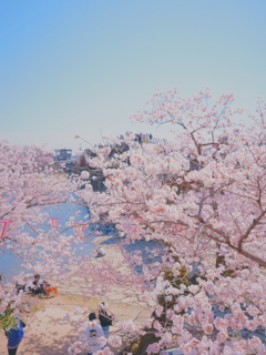 DSC06014
