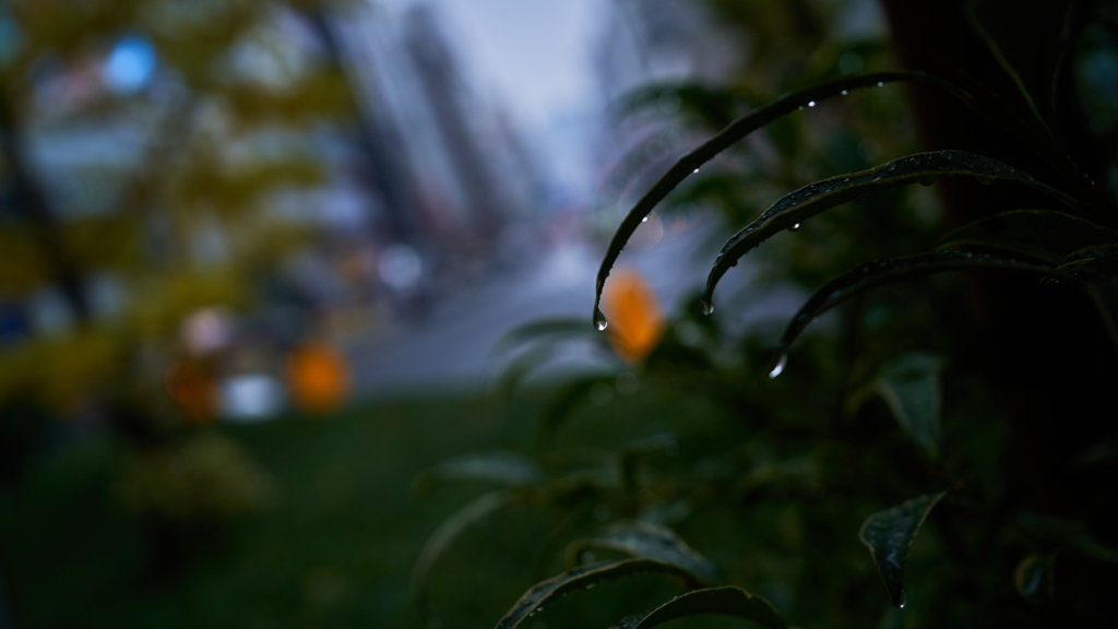 DSC05525