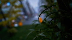 DSC05525