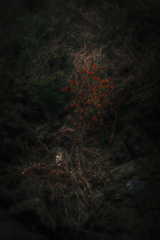 red between