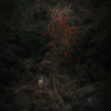 red between