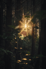 shining
