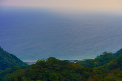 夏の青と緑