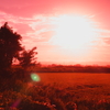 田園の夕景