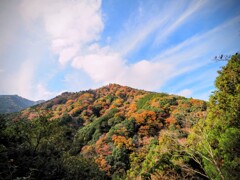 大山紅葉6