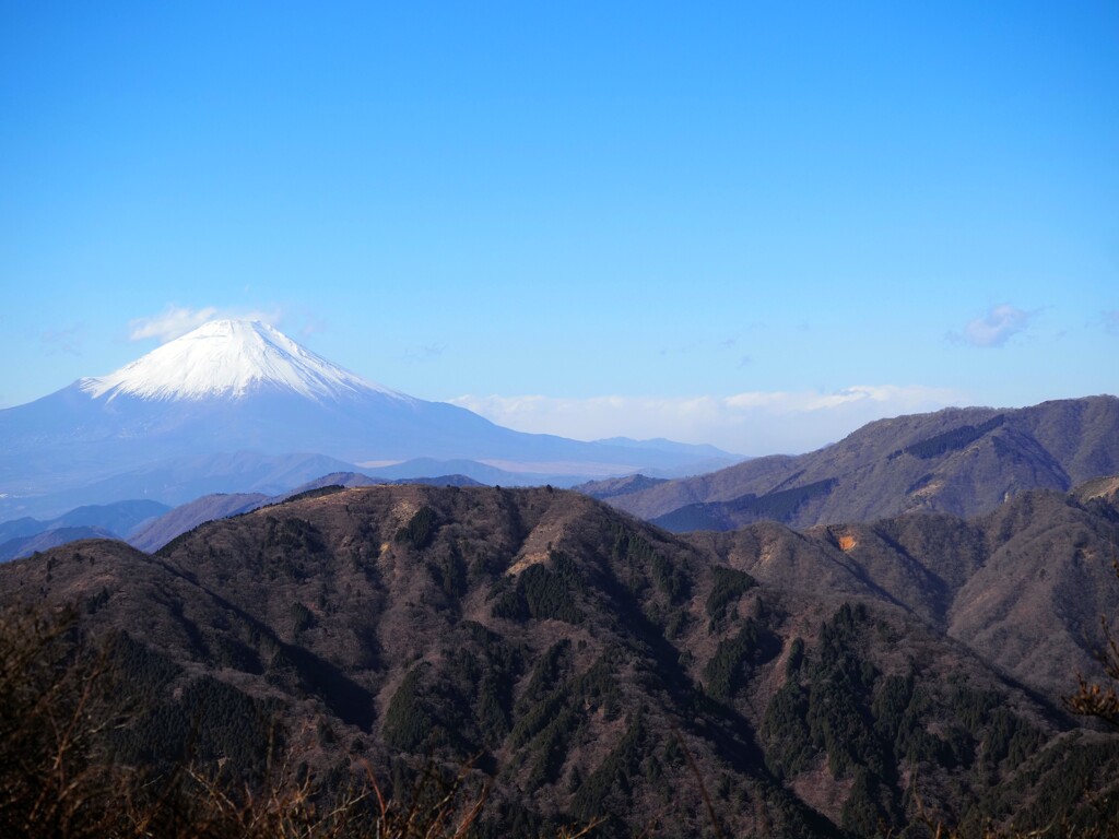 大山から富士
