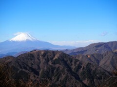 大山から富士