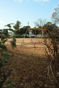 冬の公園
