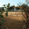 冬の公園
