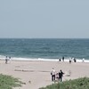 それぞれの夏