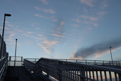 歩道橋から