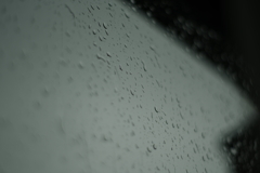 4月の雨粒