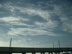 IMG_3569