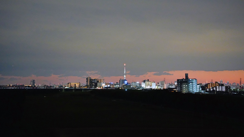 東京スカイツリー2（流山市にて撮影）