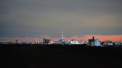 東京スカイツリー2（流山市にて撮影）