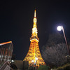 東京タワー_2