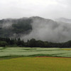 蕎麦畑（白馬）