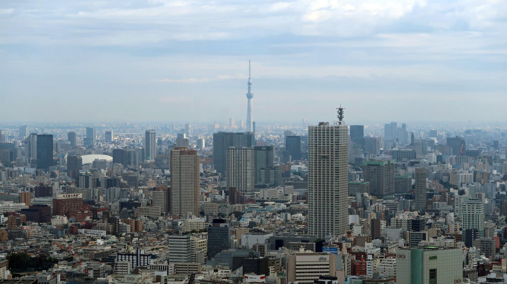 都庁展望室からの景色1
