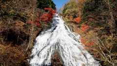 湯滝（日光）