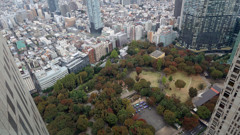 都庁展望室からの景色3