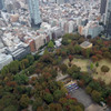 都庁展望室からの景色3