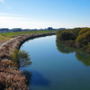 江戸川（流山市）