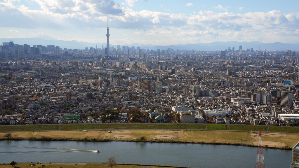 江戸川（市川市）