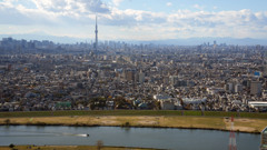 江戸川（市川市）