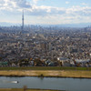 江戸川（市川市）