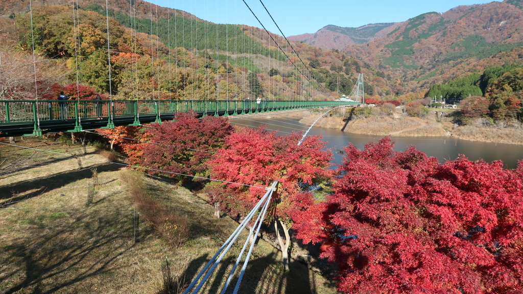 那須塩原5