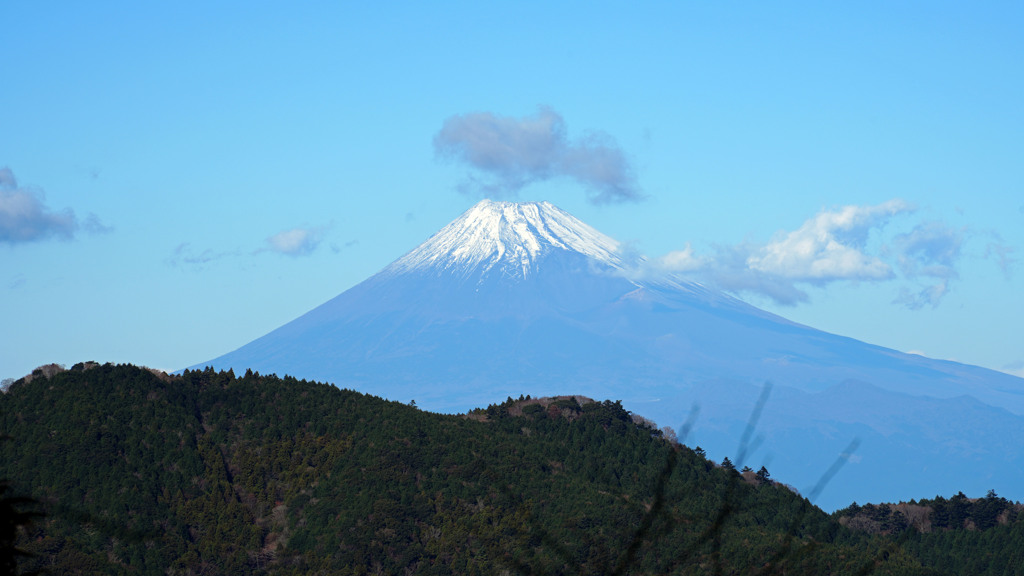 富士山（伊豆山稜線歩道にて）