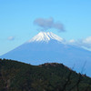 富士山（伊豆山稜線歩道にて）