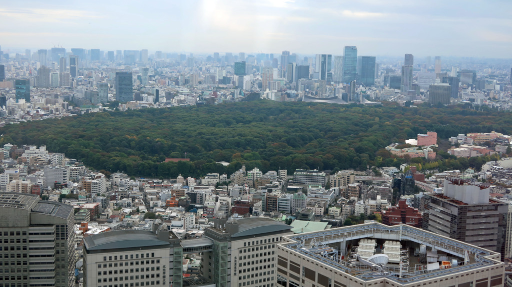 都庁展望室からの景色2