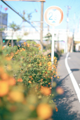 オールドレンズと見る景色⑤