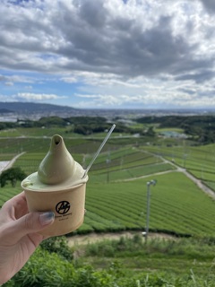 暑い日のアイスと茶畑